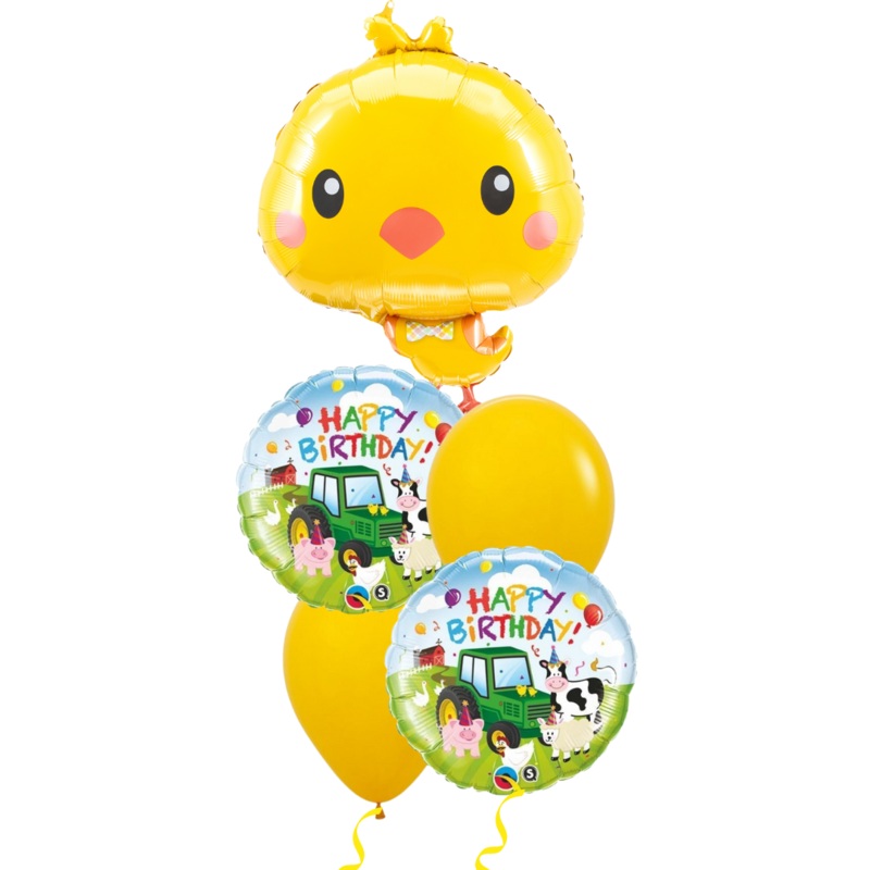 Chicky Chick Birthday