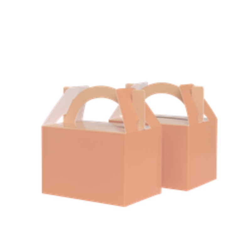 Paper Party Little Lunch Box Peach - 10pk