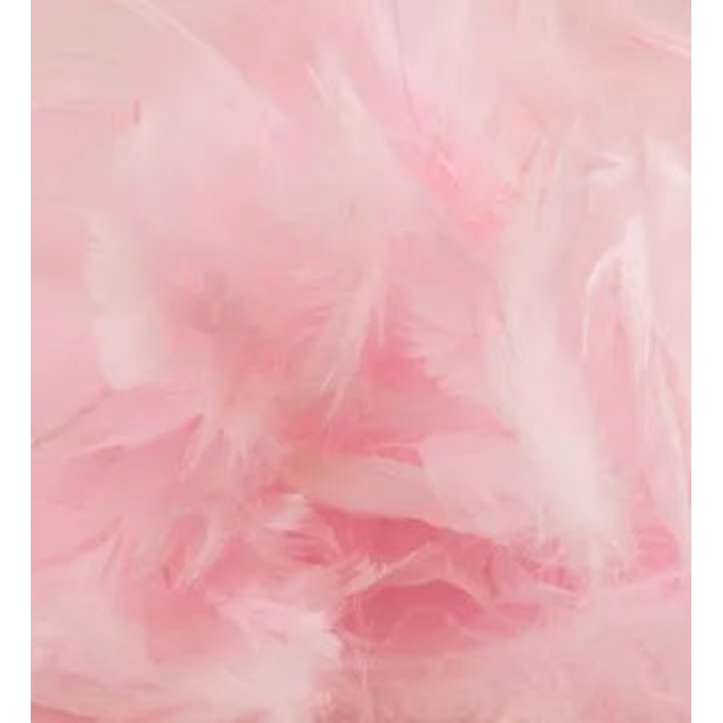 Eleganza Feathers Mixed sizes 3inch-5inch 50g bag Lt Pink No.21