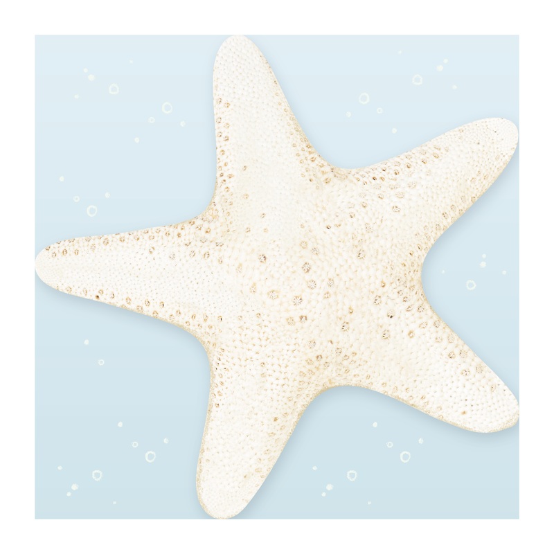 Mermaid and Under the Sea Themed Starfish Napkins (50 Pcs)
